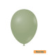 12" Sage Green 219 Rocca Decorator Line Latex Balloons bag of 50pcs