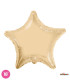 Mylar Powder Star 22" 1pc