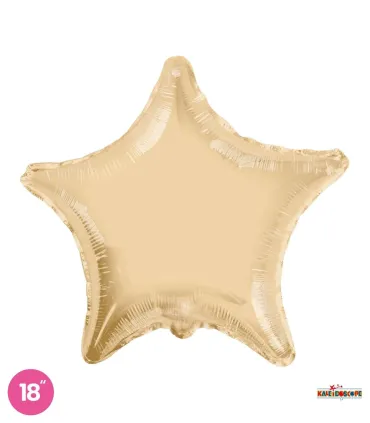 Mylar Powder Star 22" 1pc