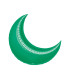 Mylar Moon Emerald Green 9" pack 5pcs