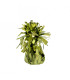 Lime Green Balloon Weight 170 g 12pcs