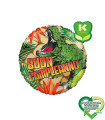 Mylar Happy Birthday T-Rex Round 18" 1pc